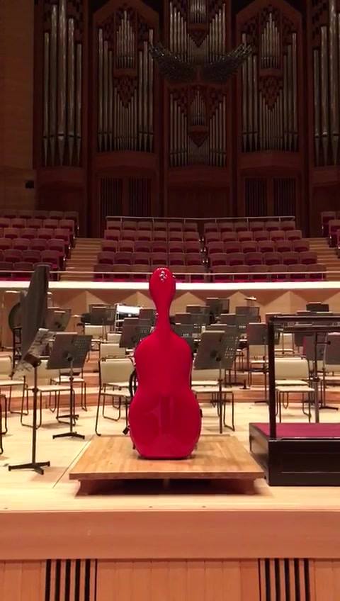 Red Cello si gode il silenzio di una delle più belle sale del mondo.<br>Questa sera concerto e...